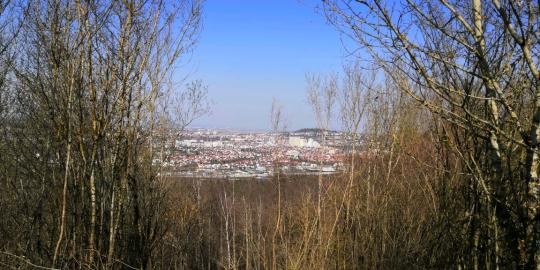 06 Blick vom Fuße des Eltinger Kopfes in Richtung Leonberg