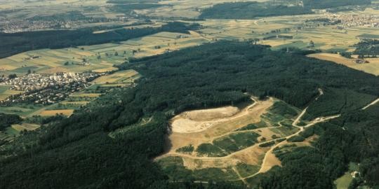 1986 Leonberg 