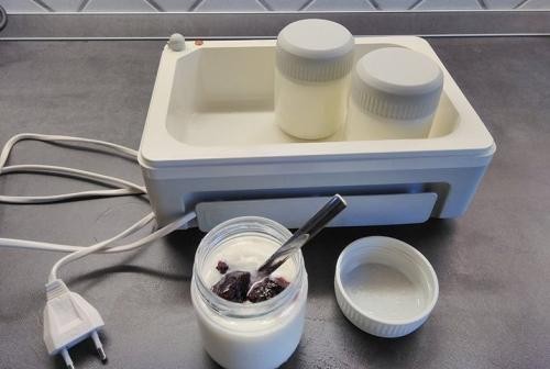 Elektrischer Joghurtbereiter und drei Gläser selbstgemachter Joghurt